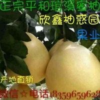 赖艺云
