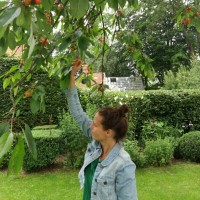 Dorien Willemen