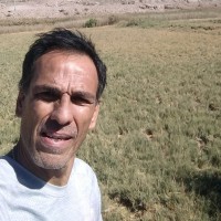 Omar Gomez