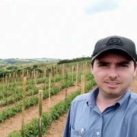 Rafael Faleiro Barão