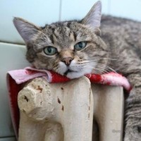 Candidate Interesting