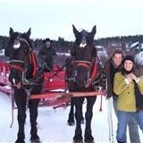 Elizabeth Harvey Williams