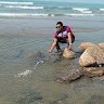 sohad hossain