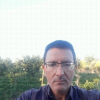 Mehmet Ali Doğan