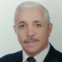 Mohammed Abuzaid