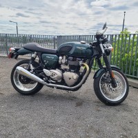 Dino D.
