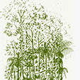 Edena Orchards
