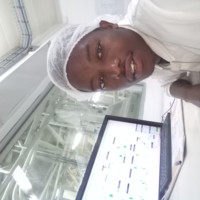Sibeko Falakhe