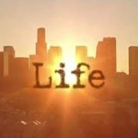 Life Full Of Joy