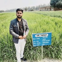 Prashant Yadav