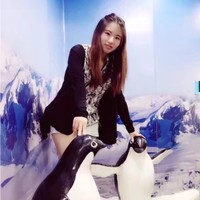 Wen Zhao