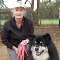 Karen Collis