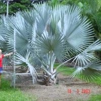 la cosecha garden design