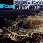 PT FREEPORT