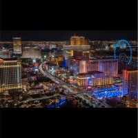 The Forest Reign And Business Co.