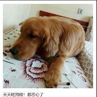 王长志