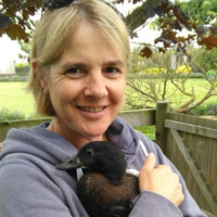 Shelley Jones