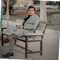 Mahmoud ali