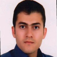 morteza lameei