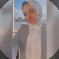 Alaa Abdelrahman Sleem
