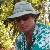 Wild Bee Intntl.LLC David Max Curtis