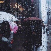 徐丹丹
