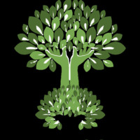 Bryony Green