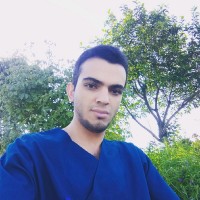 mohamad rajaei