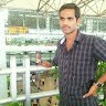 Mallareddy Kerelly
