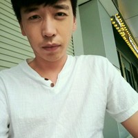 段树刚