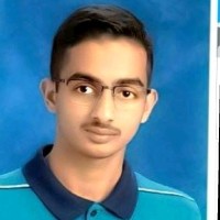 Ali Raja
