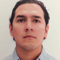Manuel Morales P.