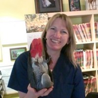 Carol Davies