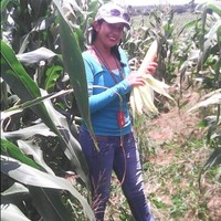 Romina Capote