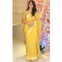 Vibha Gangi