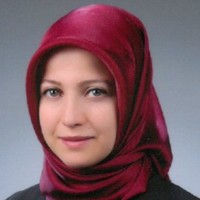 Fatma Sari Tunel
