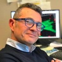 Simone Guarnieri