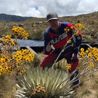 jaime gomez