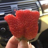 肖培伟