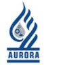 Aurora Engitech