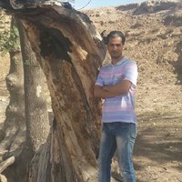 Omid Hu