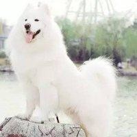 邹小兵