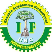 yenny pilar cutin flores