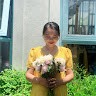 Tram Pham Quynh