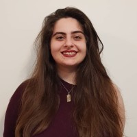 Negar Vahid