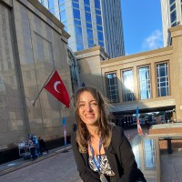 Gökçe Erdem