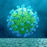 MICRO BIOLOGY