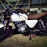 Shandy Aditya