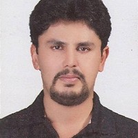 Reza Roholamini