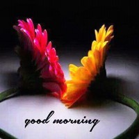 Sandeep Thakur